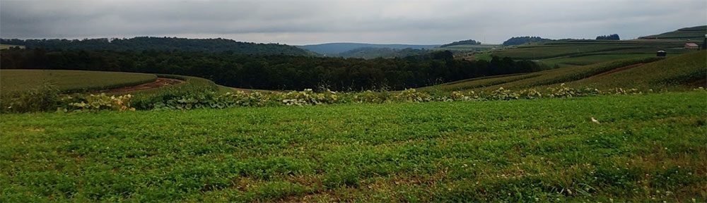 Landscape image of a field in East Carroll Township, PA
